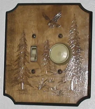 Small Swap, Big Statement: Using Switch Covers to Give Your Home a Personality Upgrade